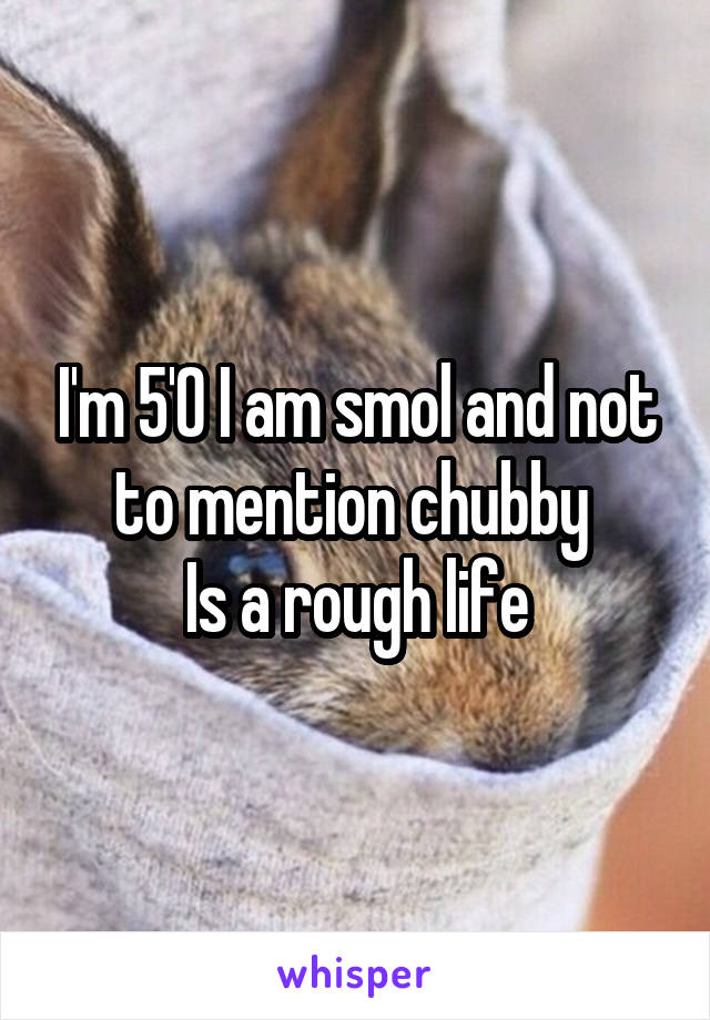 I'm 5'0 I am smol and not to mention chubby 
Is a rough life