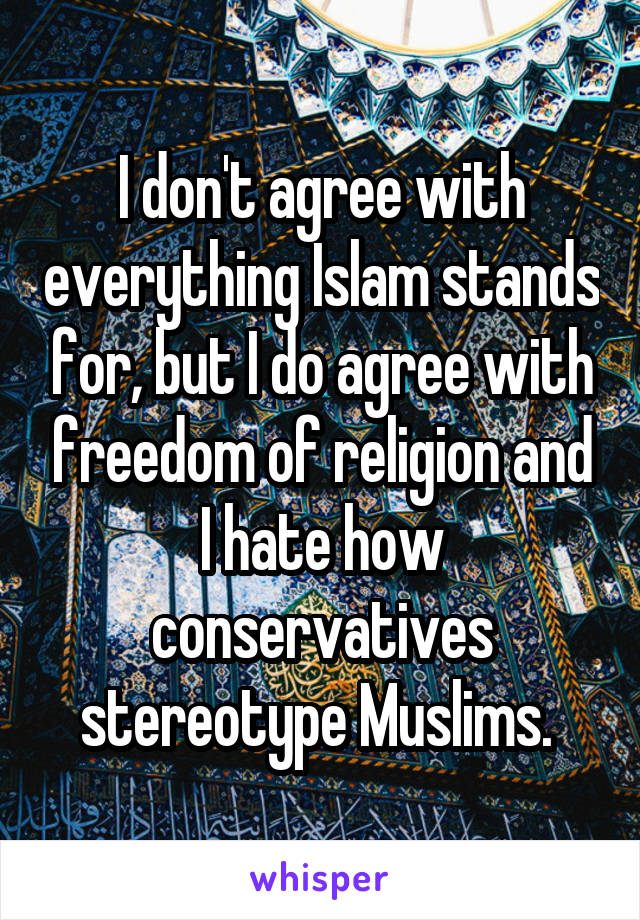 I don't agree with everything Islam stands for, but I do agree with freedom of religion and I hate how conservatives stereotype Muslims. 