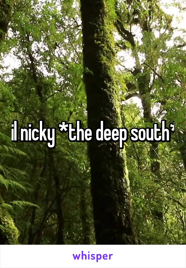 lil nicky *the deep south*