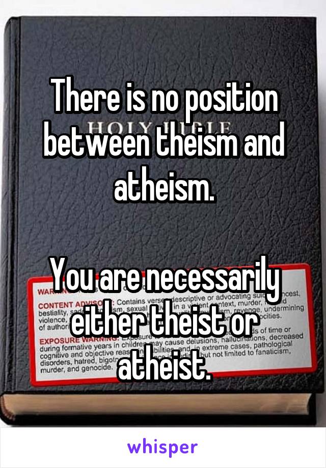 There is no position between theism and atheism.

You are necessarily either theist or atheist.