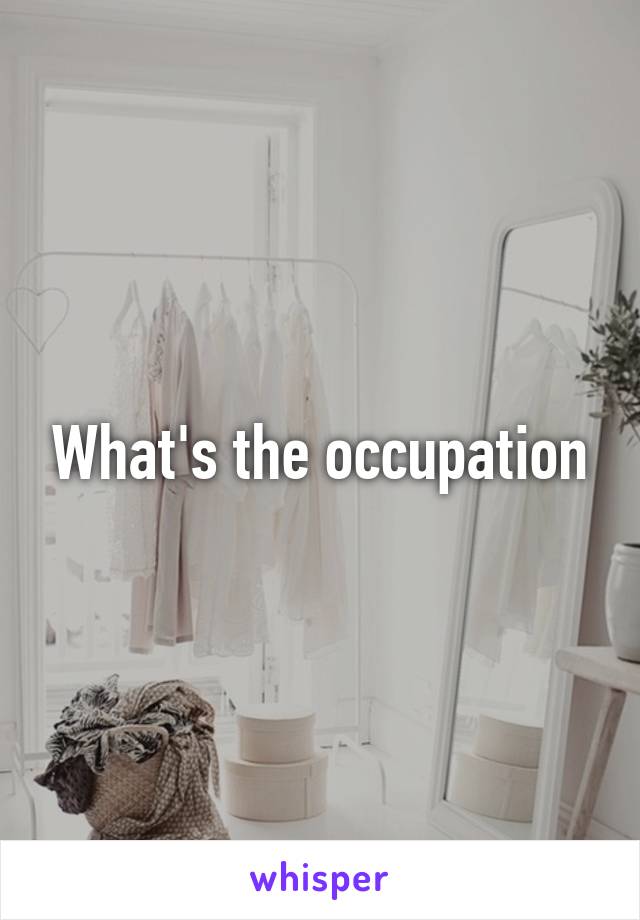 What's the occupation