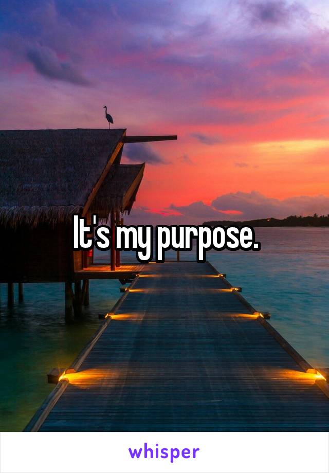 It's my purpose.