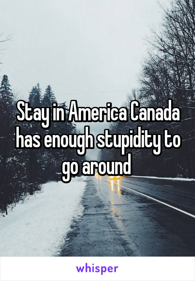 Stay in America Canada has enough stupidity to go around 
