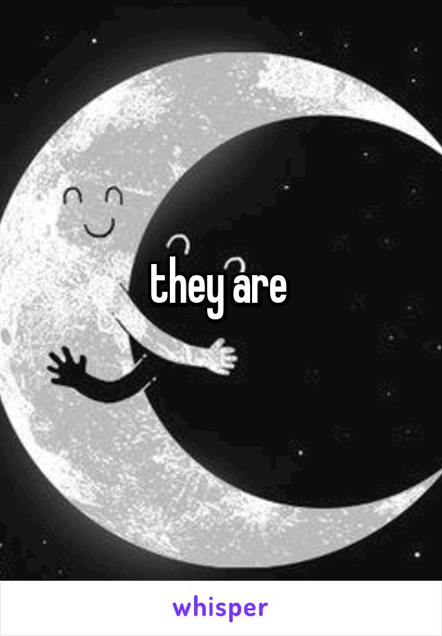 they are 
