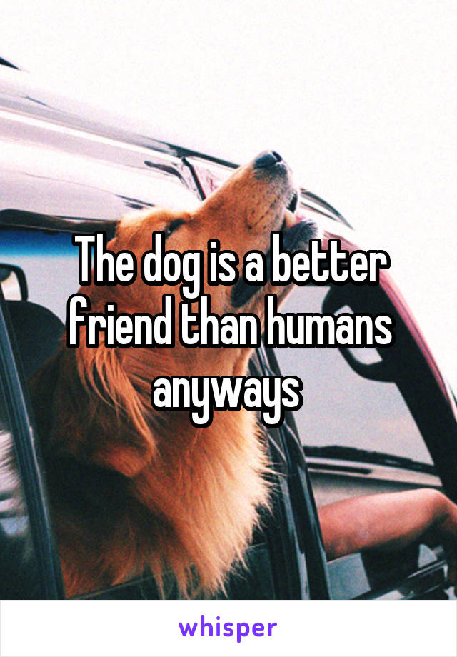 The dog is a better friend than humans anyways 