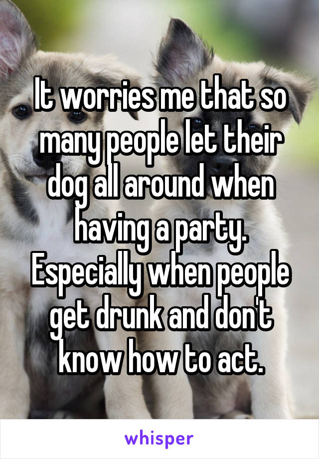 It worries me that so many people let their dog all around when having a party. Especially when people get drunk and don't know how to act.