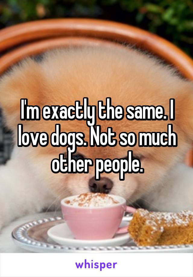 I'm exactly the same. I love dogs. Not so much other people.