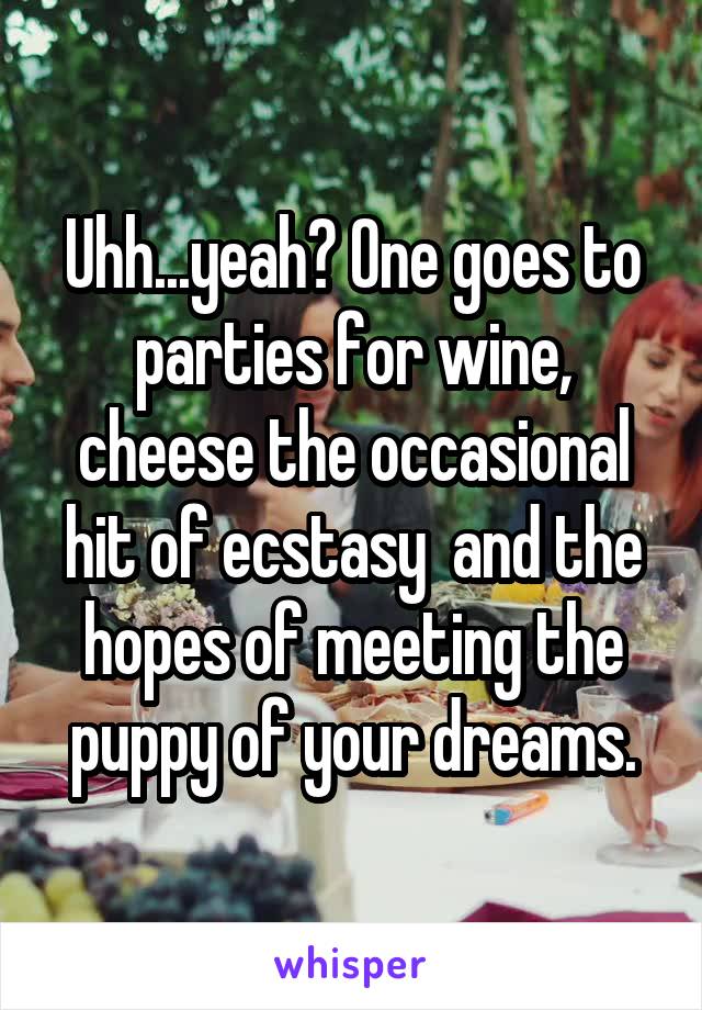 Uhh...yeah? One goes to parties for wine, cheese the occasional hit of ecstasy  and the hopes of meeting the puppy of your dreams.