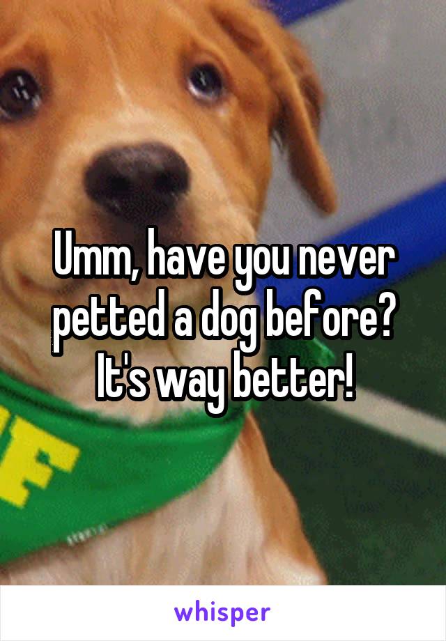 Umm, have you never petted a dog before? It's way better!