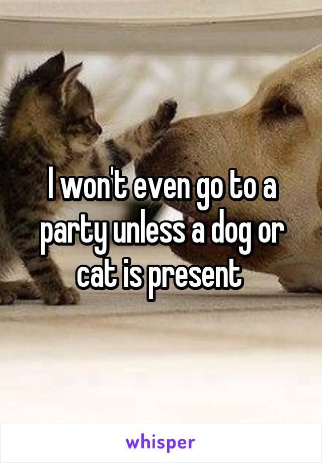 I won't even go to a party unless a dog or cat is present 