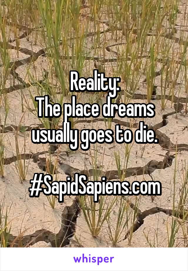 Reality:
The place dreams usually goes to die.

#SapidSapiens.com