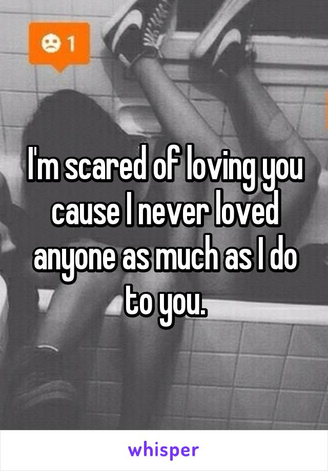 I'm scared of loving you cause I never loved anyone as much as I do to you.