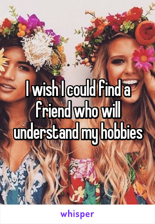 I wish I could find a friend who will understand my hobbies