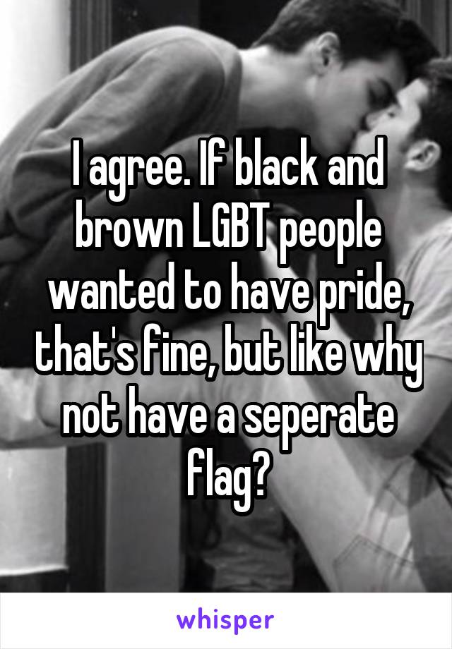 I agree. If black and brown LGBT people wanted to have pride, that's fine, but like why not have a seperate flag?