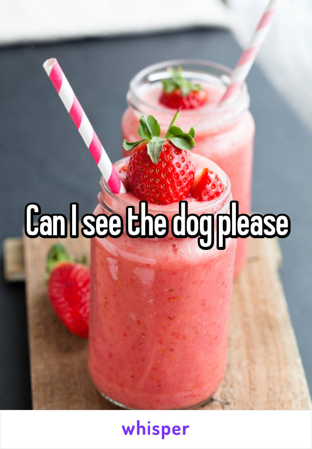 Can I see the dog please