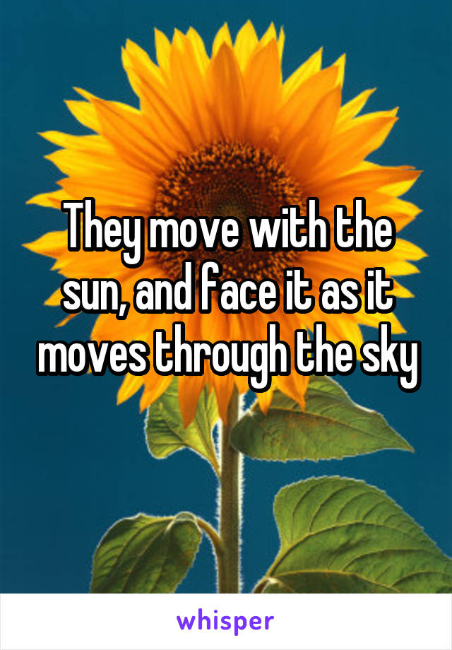 They move with the sun, and face it as it moves through the sky
