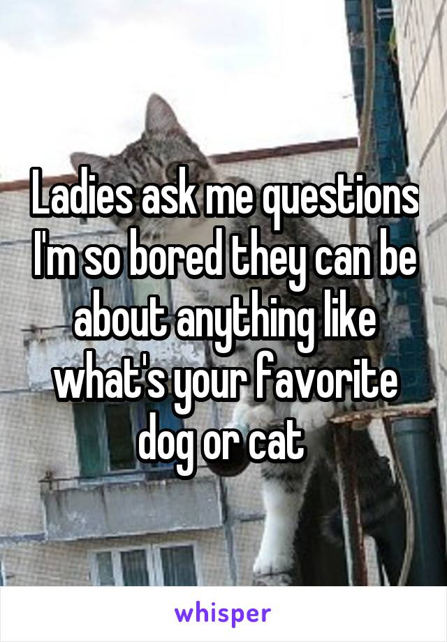 Ladies ask me questions I'm so bored they can be about anything like what's your favorite dog or cat 