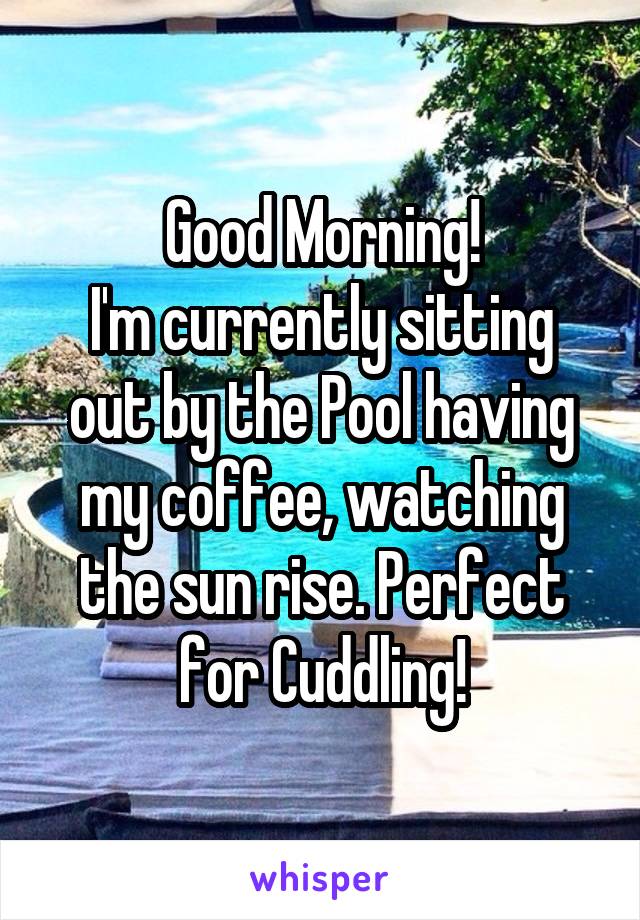 Good Morning!
I'm currently sitting out by the Pool having my coffee, watching the sun rise. Perfect for Cuddling!