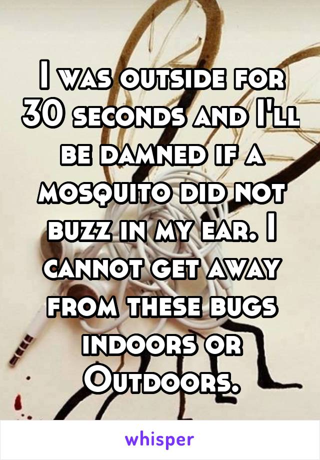 I was outside for 30 seconds and I'll be damned if a mosquito did not buzz in my ear. I cannot get away from these bugs indoors or Outdoors.