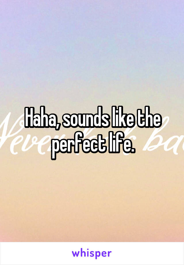 Haha, sounds like the perfect life.