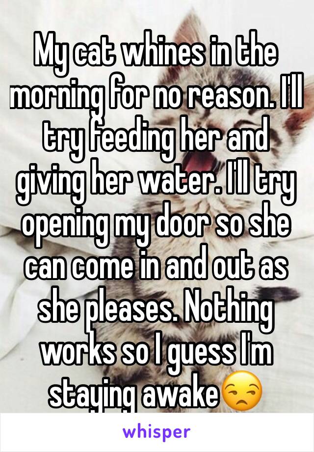 My cat whines in the morning for no reason. I'll try feeding her and giving her water. I'll try opening my door so she can come in and out as she pleases. Nothing works so I guess I'm staying awake😒