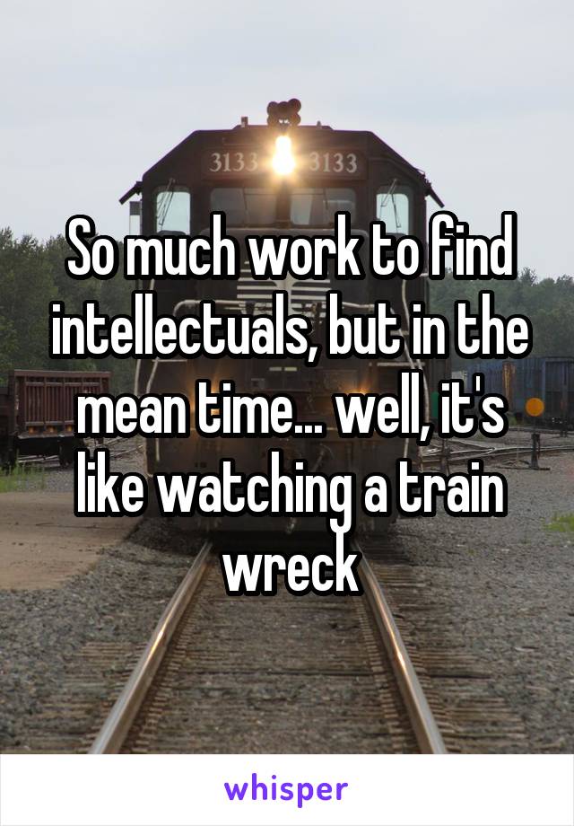 So much work to find intellectuals, but in the mean time... well, it's like watching a train wreck