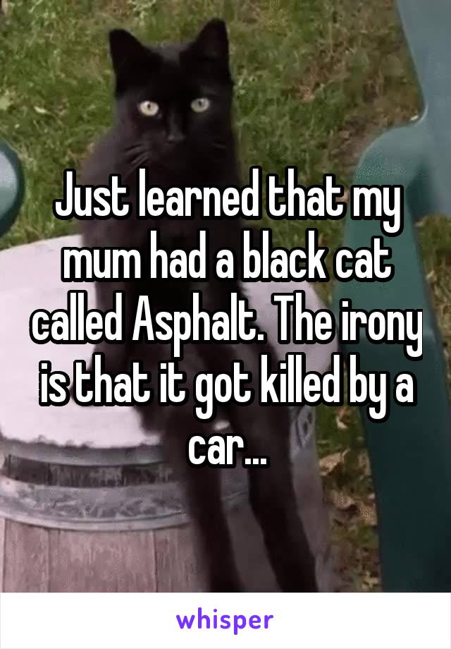 Just learned that my mum had a black cat called Asphalt. The irony is that it got killed by a car...