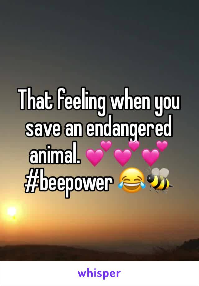 That feeling when you save an endangered animal. 💕💕💕 #beepower 😂🐝