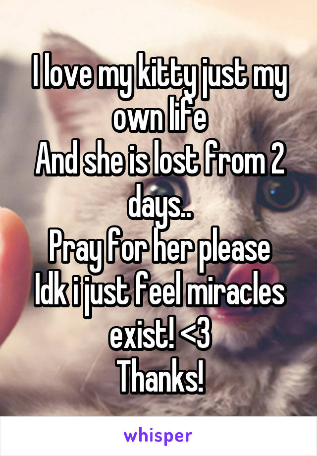 I love my kitty just my own life
And she is lost from 2 days..
Pray for her please
Idk i just feel miracles exist! <3
Thanks!