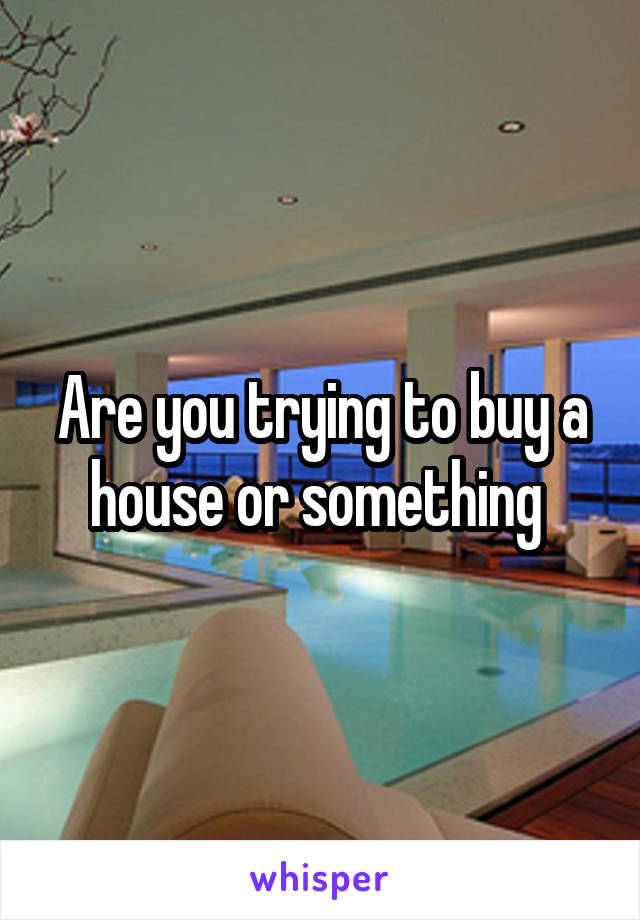 Are you trying to buy a house or something 
