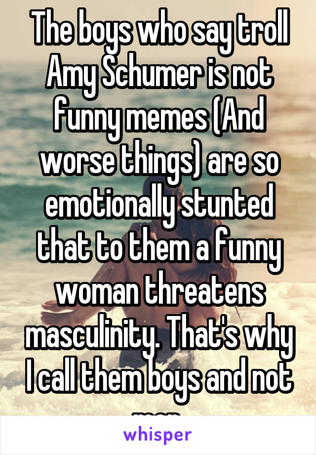 The boys who say troll Amy Schumer is not funny memes (And worse things) are so emotionally stunted that to them a funny woman threatens masculinity. That's why I call them boys and not men.