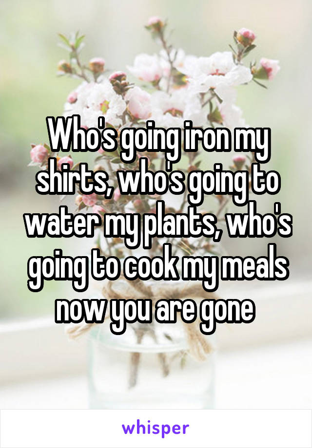 Who's going iron my shirts, who's going to water my plants, who's going to cook my meals now you are gone 