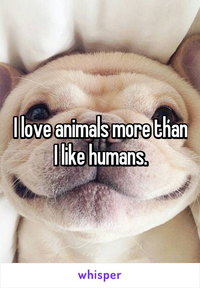 I love animals more than I like humans.
