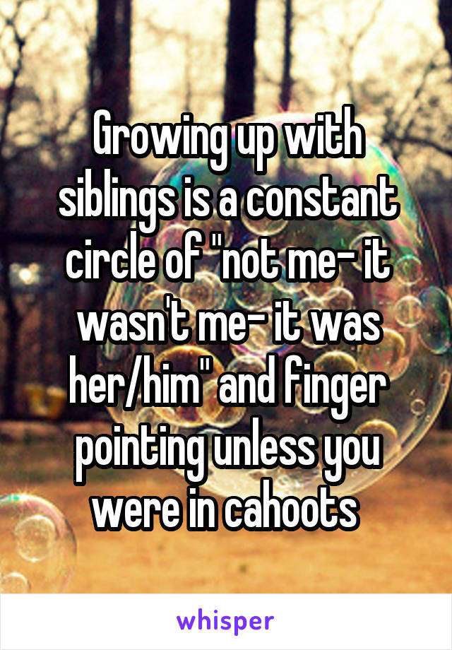 Growing up with siblings is a constant circle of "not me- it wasn't me- it was her/him" and finger pointing unless you were in cahoots 