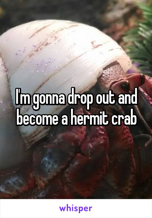 I'm gonna drop out and become a hermit crab