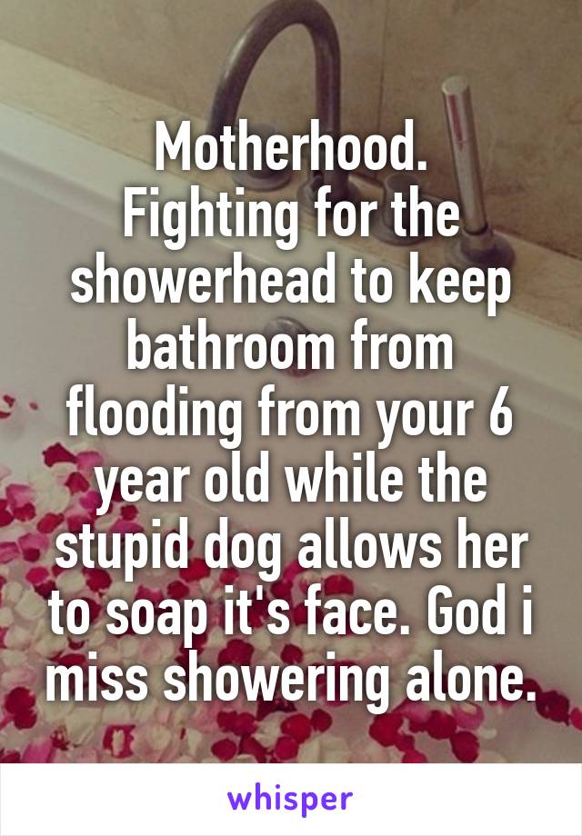 Motherhood.
Fighting for the showerhead to keep bathroom from flooding from your 6 year old while the stupid dog allows her to soap it's face. God i miss showering alone.