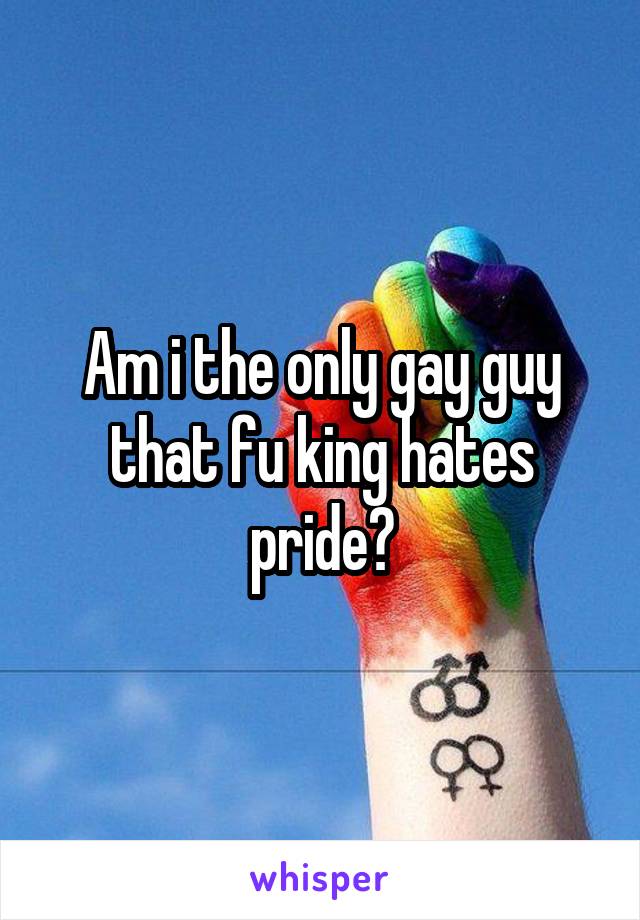 Am i the only gay guy that fu king hates pride?