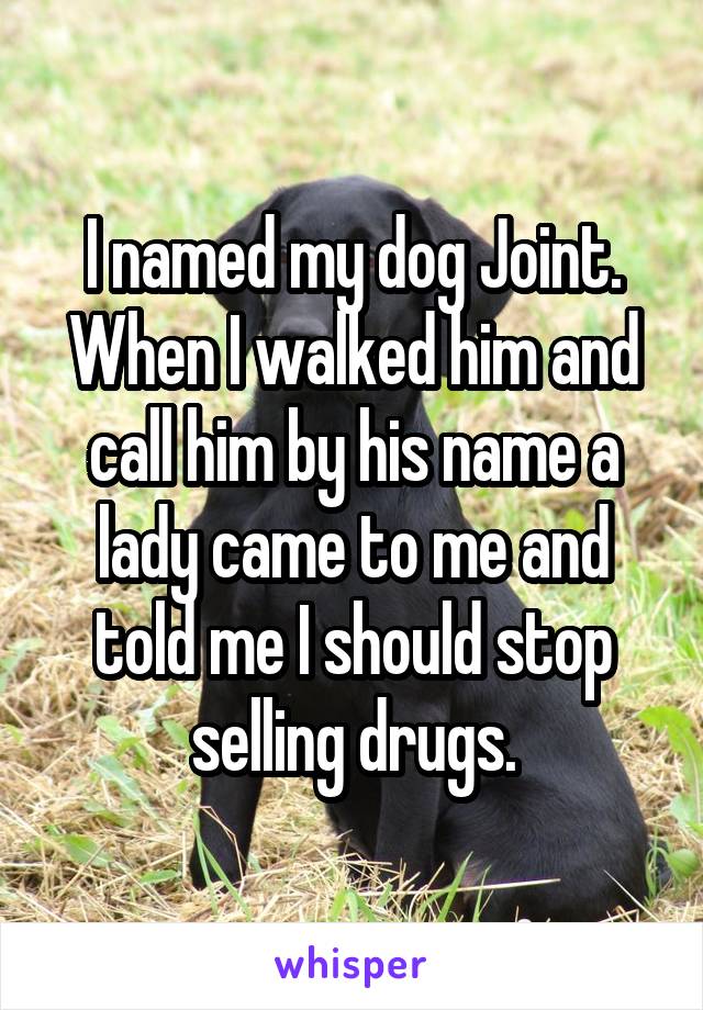 I named my dog Joint. When I walked him and call him by his name a lady came to me and told me I should stop selling drugs.
