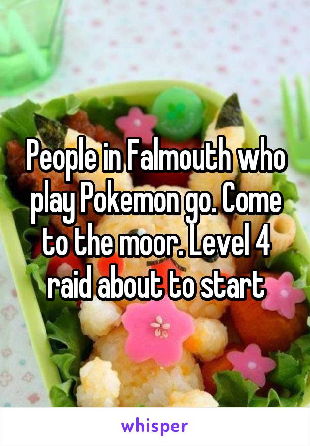 People in Falmouth who play Pokemon go. Come to the moor. Level 4 raid about to start