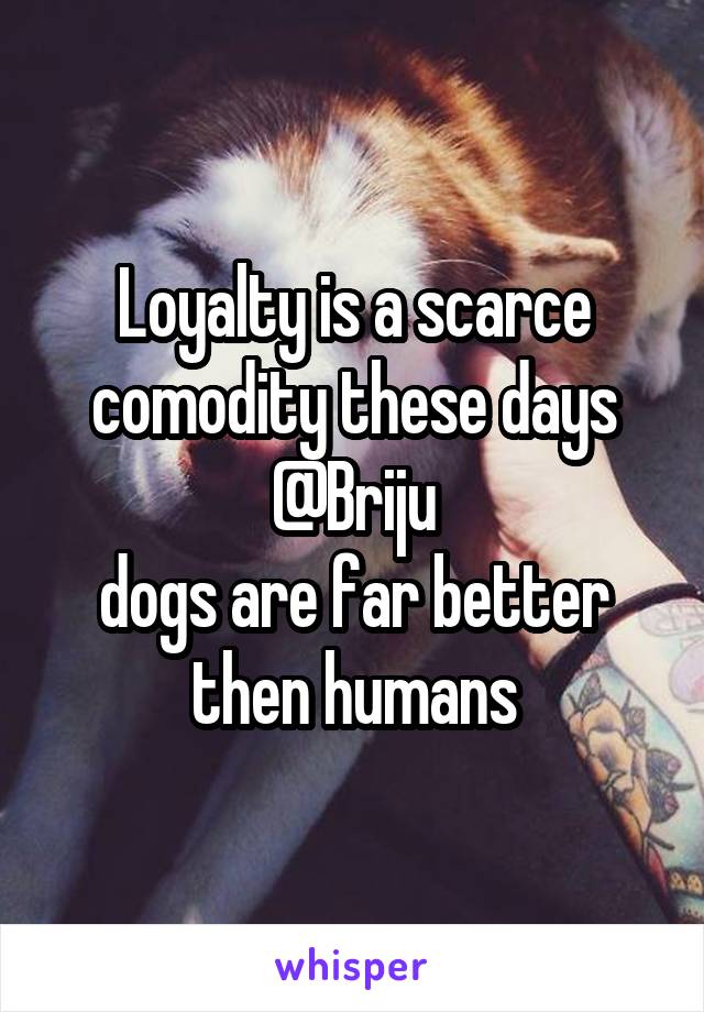 Loyalty is a scarce comodity these days
@Briju
dogs are far better then humans