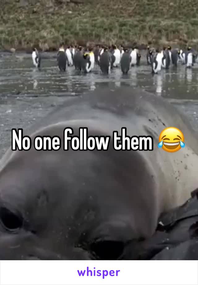 No one follow them 😂 