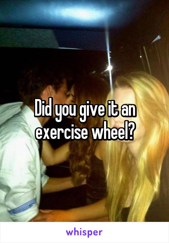 Did you give it an exercise wheel?