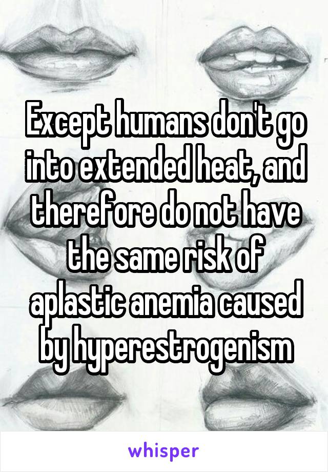 Except humans don't go into extended heat, and therefore do not have the same risk of aplastic anemia caused by hyperestrogenism