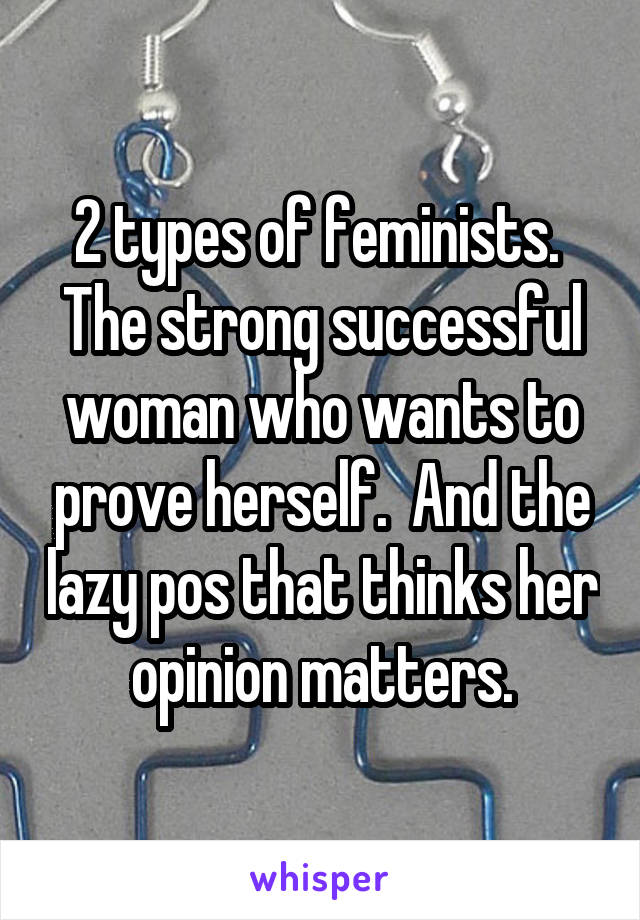 2 types of feminists.  The strong successful woman who wants to prove herself.  And the lazy pos that thinks her opinion matters.