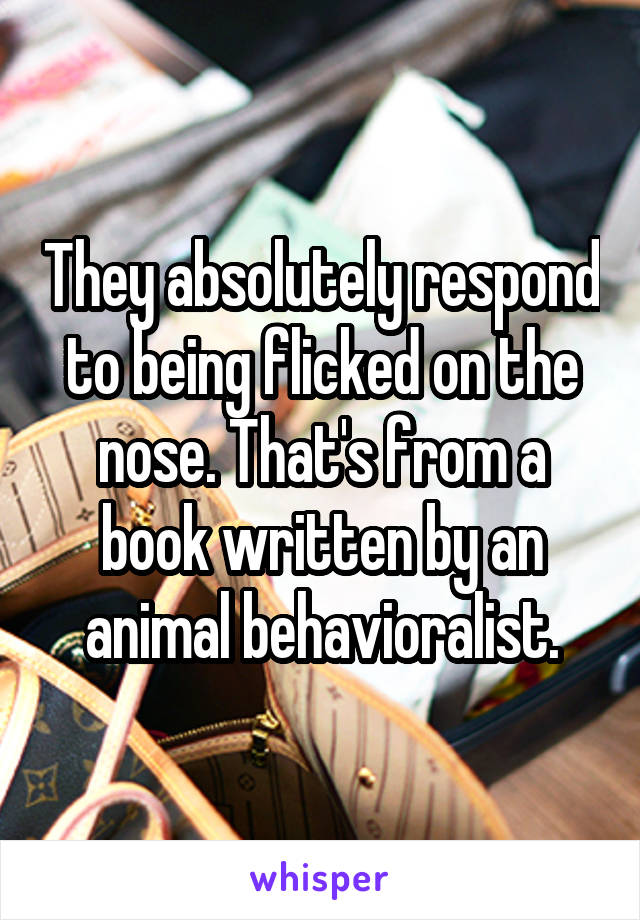 They absolutely respond to being flicked on the nose. That's from a book written by an animal behavioralist.