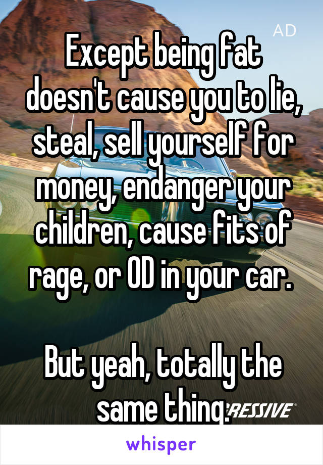 Except being fat doesn't cause you to lie, steal, sell yourself for money, endanger your children, cause fits of rage, or OD in your car. 

But yeah, totally the same thing.