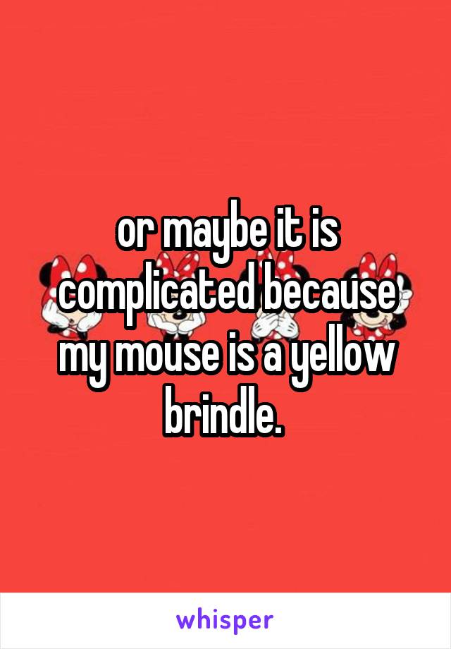 or maybe it is complicated because my mouse is a yellow brindle. 