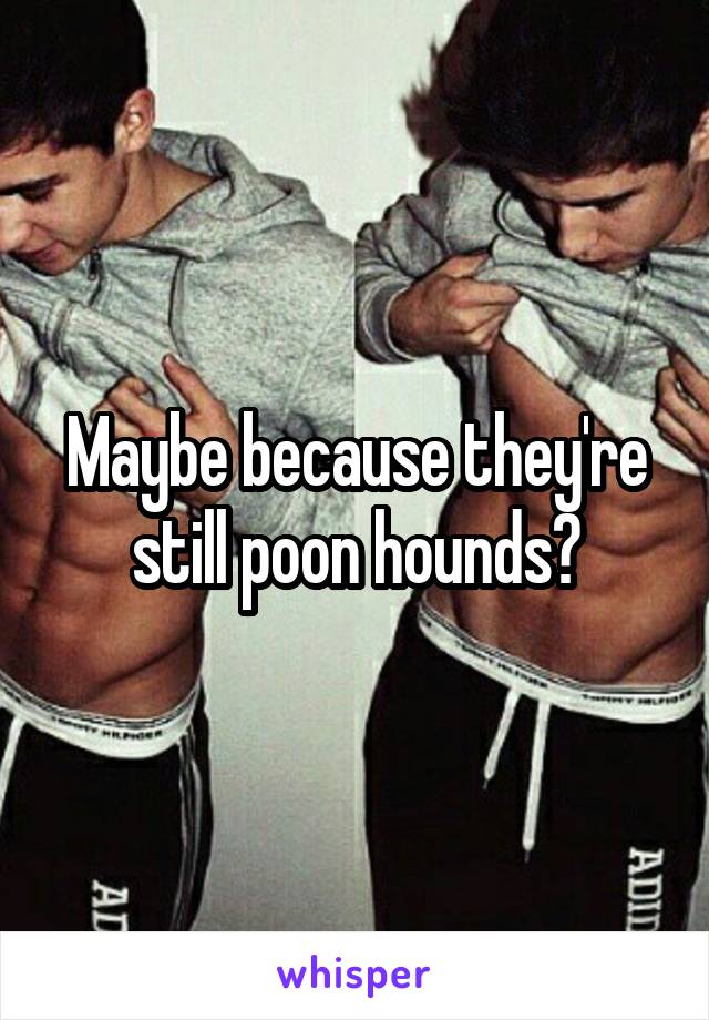 Maybe because they're still poon hounds?