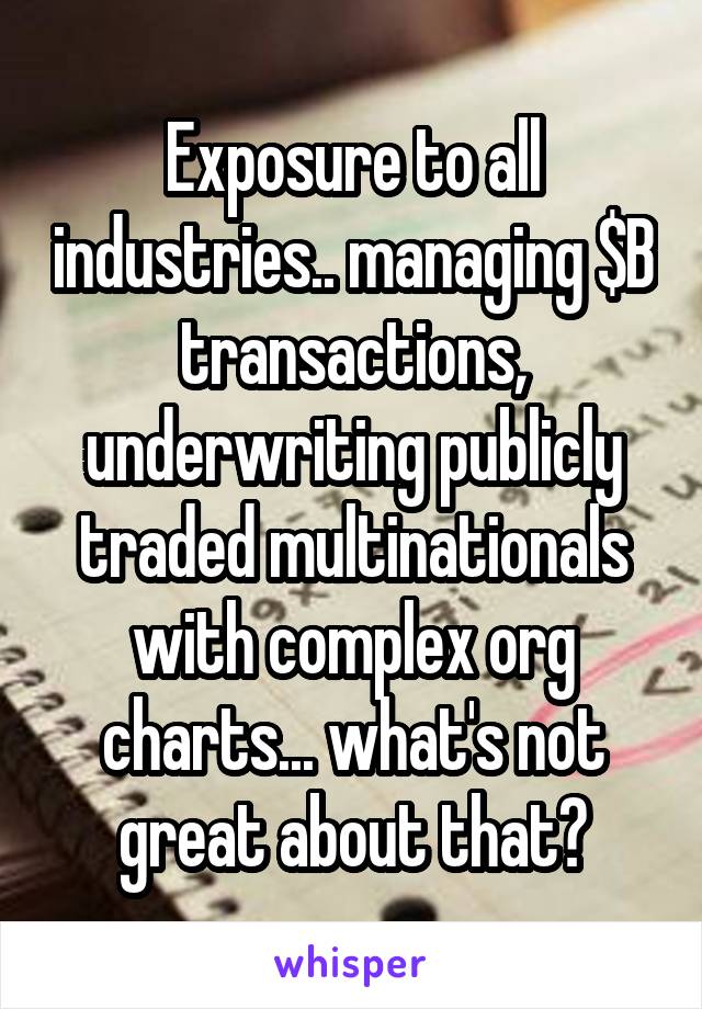 Exposure to all industries.. managing $B transactions, underwriting publicly traded multinationals with complex org charts... what's not great about that?