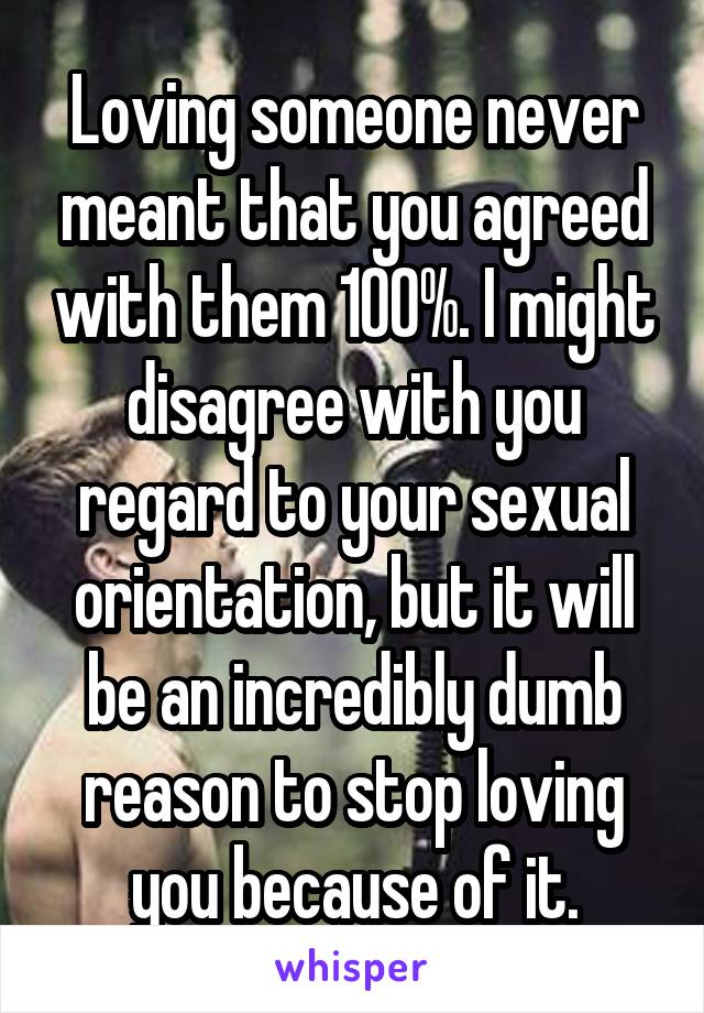 Loving someone never meant that you agreed with them 100%. I might disagree with you regard to your sexual orientation, but it will be an incredibly dumb reason to stop loving you because of it.